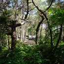 솔바람 물결소리 이미지