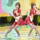 코코제인 이미지