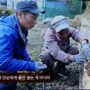 다산골 이미지