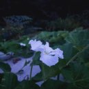 상지농장 이미지