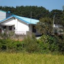 도삼보건진료소 이미지