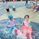 양평종합운동장 어린이물놀이장 | 양평어린이물놀이장(양평종합운동장)