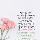 새벽별 이미지