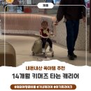 (주)쉘위고 | 키머즈 쉘위고 타는 캐리어 14개월 내돈내산 솔직 후기
