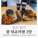대구시청별관앞 교통섬 | 임신 일기 #21 / 임신 22주차 괌 태교여행 3탄 (여행 1일차 돌고래투어, 도스버거, 라세느디너)