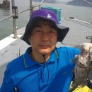 반도낚시 Daum카페