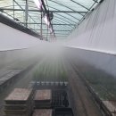 수양목장 이미지