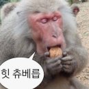 창원 컨벤션 센터 맛집 우정 한우 소머리 곰탕