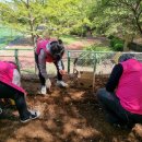 샛터공원 이미지