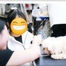 뷰티반려문화 | 반려동물학과 르네상스펫전문학교 참여수업 후기