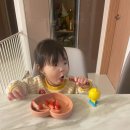 26개월 아기 코코지하우스 추천, 어린이날 선물 추천 7개월 사용한 후기와 아띠 추천