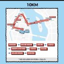 여명안경 | 월리런 2026 10km 완주 후기