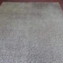 카페트세탁 스팀지니 이미지