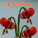 (사)공감사랑나눔회 이미지