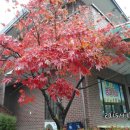 성주군보건소(건강증진센터) 이미지