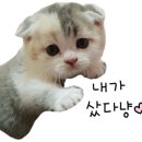 청주아이폰수리픽스샵 이미지