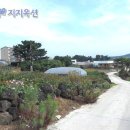 제주시 화북2동 자연취락지역 토지 531평 - 제주 부동산 경매 제주도 토지 이미지