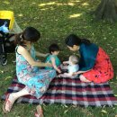 아론가든 이미지