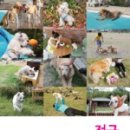 네르하펜션 - 통영시 도산일주로 952 | 네르하펜션