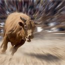 건대 소두마리 이미지