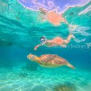 6317 | 보홀 여행 꿀팁 후기 가성비 리조트 가족여행 코스 추천