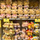 농장 | 하와이 오아후 돌 플랜테이션 파인애플 농장 후기