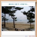 회령 주유소 네이버블로그