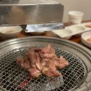 통통돼지 이미지