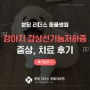 JA 임상병리 동물병원 | 분당 동물병원 강아지 갑상선 기능 저하증 증상 치료 후기