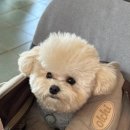 빌콤 이미지