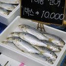 사구해수욕장1 이미지