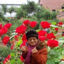 연희노인문화센터 이미지