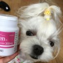 (주)알켐바이오 이미지