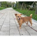 아이조아요양호텔 이미지