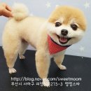 괴정3동-3 이미지