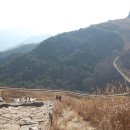 유어초등학교 이미지