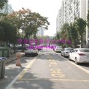 우성1공인중개사사무소 이미지