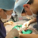 광주광역시 우치동물원 동물병원 이미지