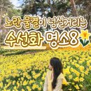가룡마을회관 | 봄나들이 추천 전국 수선화 명소 BEST8