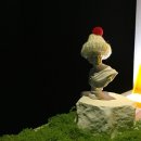 소슬락 | 느린 혁명