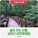 성주산자연휴양림 이미지