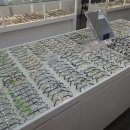 으뜸50안경원 건대점 이미지