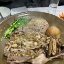 둘둘오리 이미지