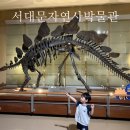 아기공룡마뱀 | 서대문자연사박물관 공룡, 예약없이 주말 아기랑 가기 좋은 곳!