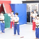 MVP합기도 이미지