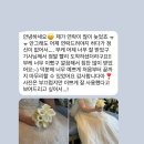 [송도본식부케]디어오브플라워 메리빌리아 웨딩부케 카라 본식 부케 후기
