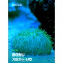 산호 이미지