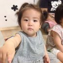 개굴개굴 이미지