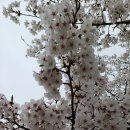 기배역사공원 네이버블로그
