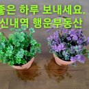 신내역행운부동산공인중개사사무소 이미지
